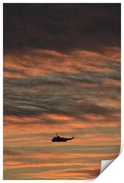 flying off into the sunset Print by Gail Johnson