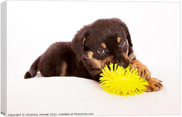 Rottweiler Puppy Playing with Yellow Toy Canvas Print by Christine Kerioak