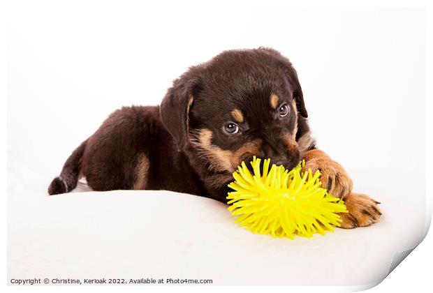 Rottweiler Puppy Playing with Yellow Toy Print by Christine Kerioak
