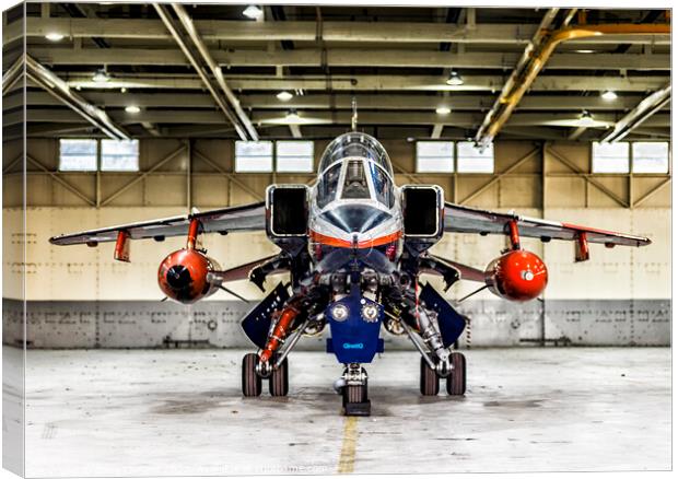 Head view of RAF Jaguar Canvas Print by Dave Layland