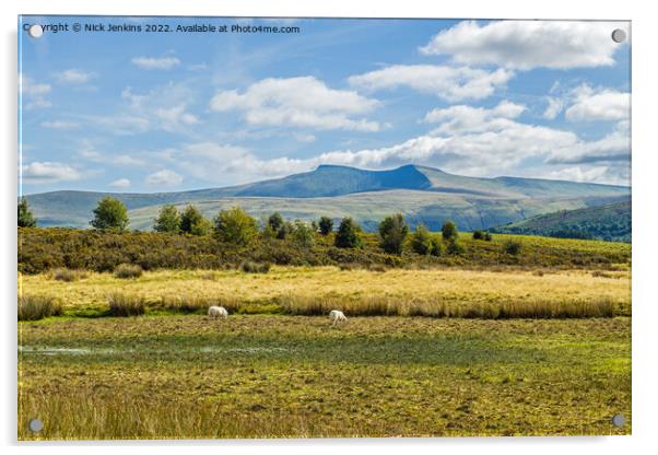 Pen y Fan and Corn Du from Mynydd Illtyd Common  Acrylic by Nick Jenkins