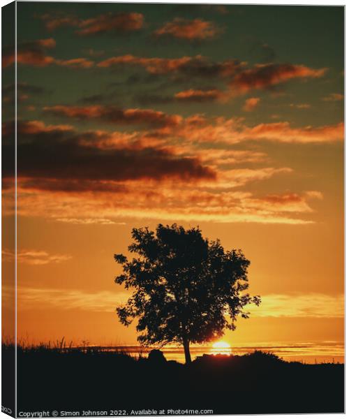 tree silhouette sunrise   Canvas Print by Simon Johnson
