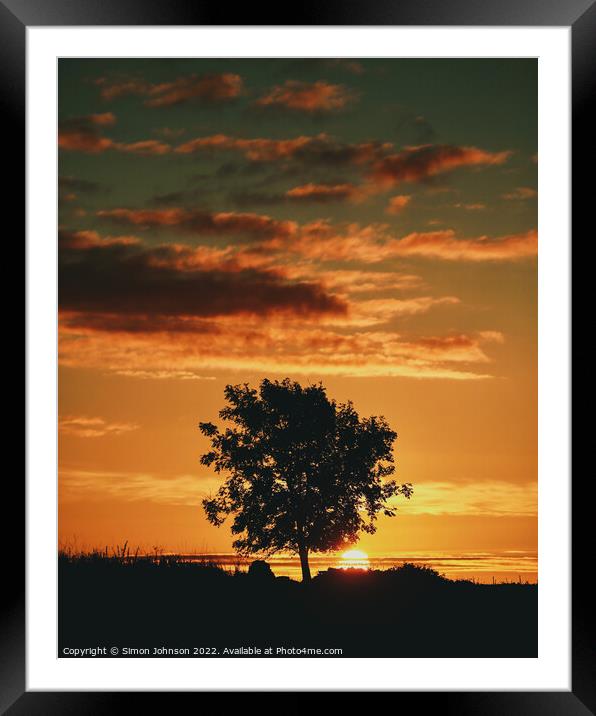 tree silhouette sunrise   Framed Mounted Print by Simon Johnson