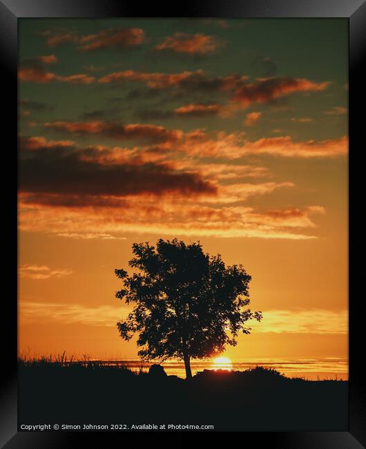 tree silhouette sunrise   Framed Print by Simon Johnson