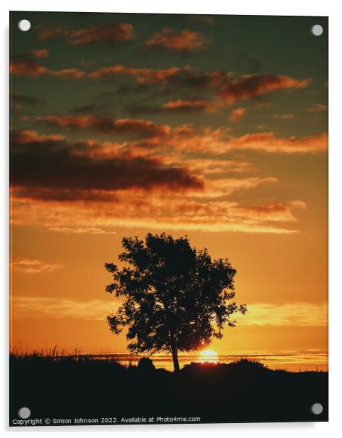 tree silhouette sunrise   Acrylic by Simon Johnson
