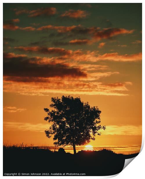tree silhouette sunrise   Print by Simon Johnson