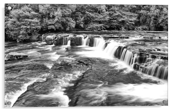 Aysgarth Falls  Acrylic by Mark Godden