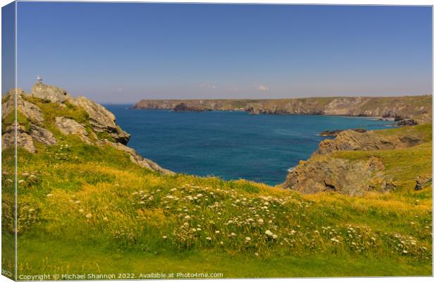 Coastline between Lizard Point and Kynance cove in Canvas Print by Michael Shannon