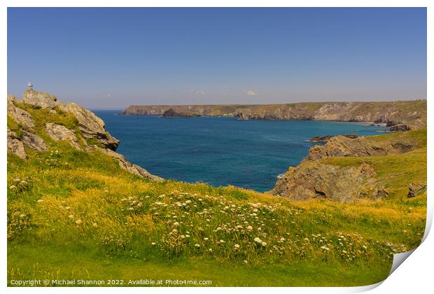 Coastline between Lizard Point and Kynance cove in Print by Michael Shannon