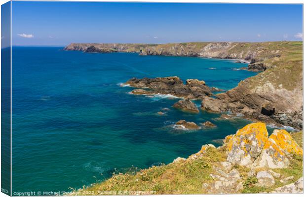View from the walk from Lizard Point to Kynance co Canvas Print by Michael Shannon