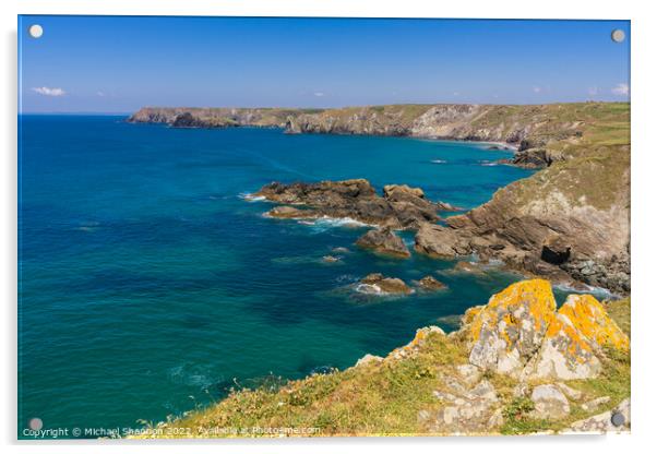 View from the walk from Lizard Point to Kynance co Acrylic by Michael Shannon