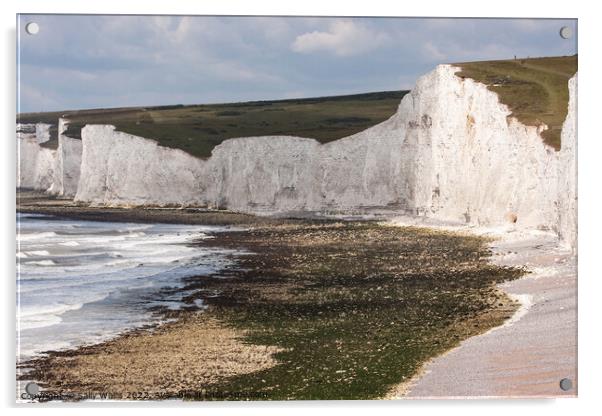 Cliffs at Birling Gap, East Sussex Acrylic by Sally Wallis