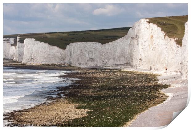 Cliffs at Birling Gap, East Sussex Print by Sally Wallis