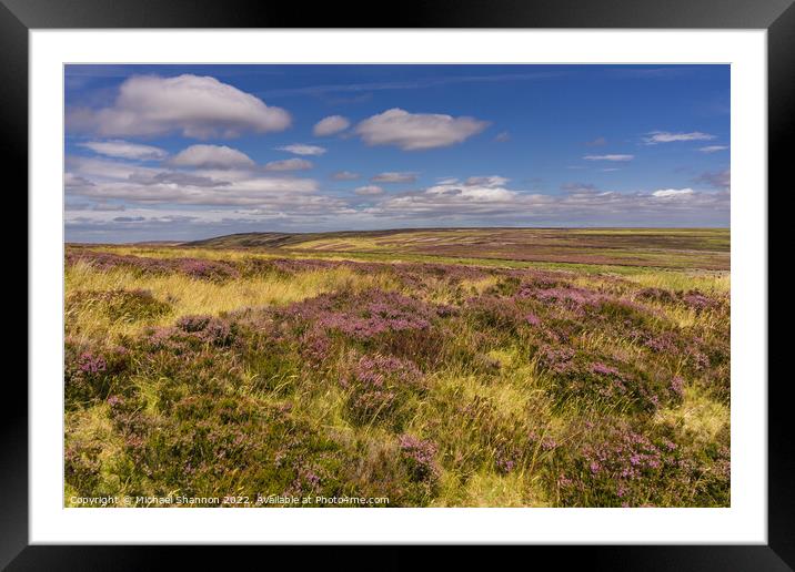 Flowering heather North Yorkshire Moors Framed Mounted Print by Michael Shannon