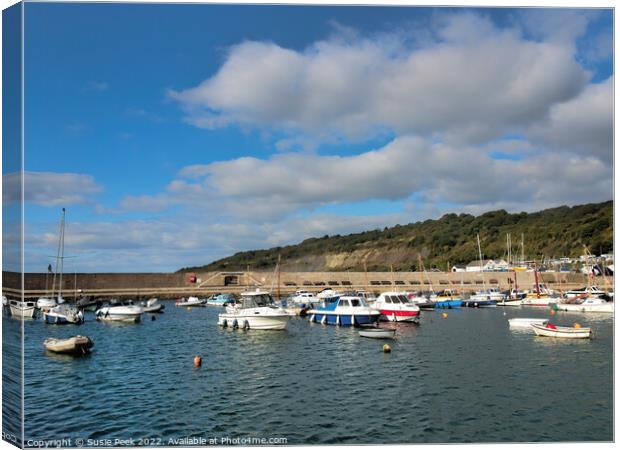 Lyme Regis Harbour  Canvas Print by Susie Peek