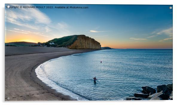 Dawn Swim at West Bay in Dorset Acrylic by RICHARD MOULT