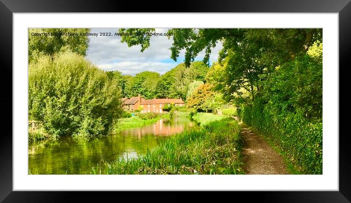 River Itchen  Framed Mounted Print by Anthony Kellaway