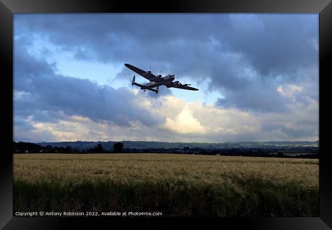 Lancaster returns from mission Framed Print by Antony Robinson