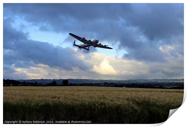 Lancaster returns from mission Print by Antony Robinson