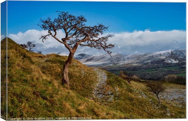 Edale during a flurry of snow Canvas Print by Chris Drabble
