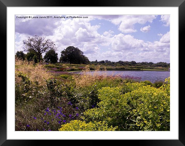 Across the pool at Wisley Framed Mounted Print by Laura Jarvis