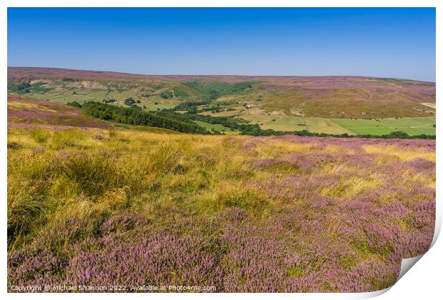 Westerdale North Yorkshire Moors Print by Michael Shannon
