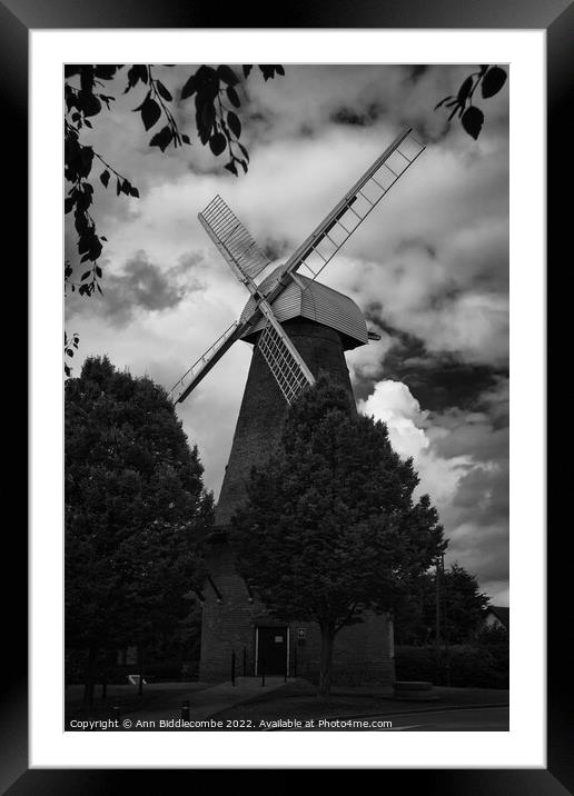 Rayleigh town windmill Framed Mounted Print by Ann Biddlecombe