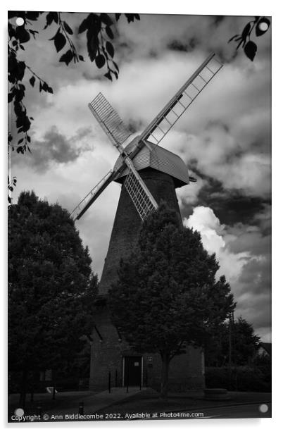 Rayleigh town windmill Acrylic by Ann Biddlecombe