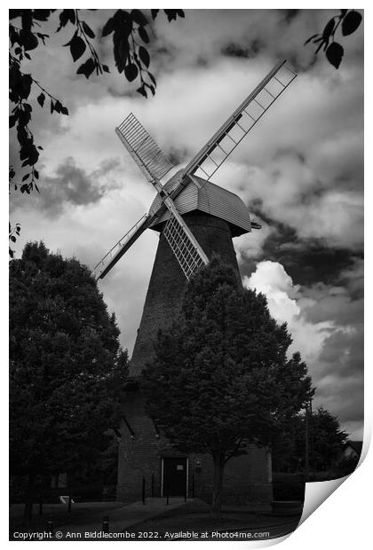 Rayleigh town windmill Print by Ann Biddlecombe