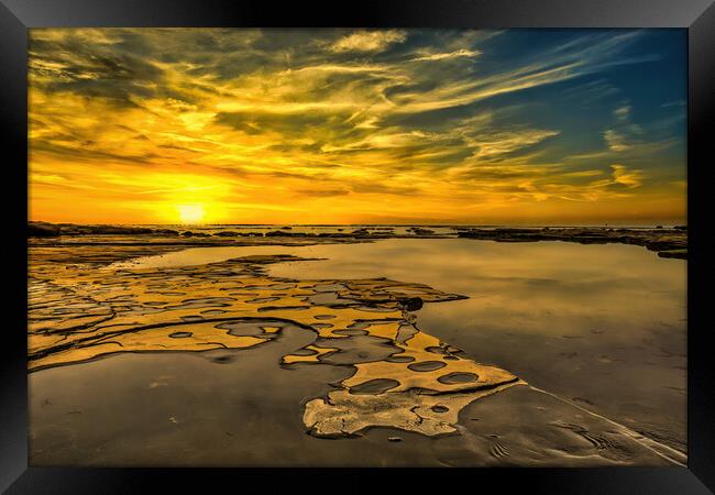 Sand, Sea, Sun Framed Print by Darren Ball
