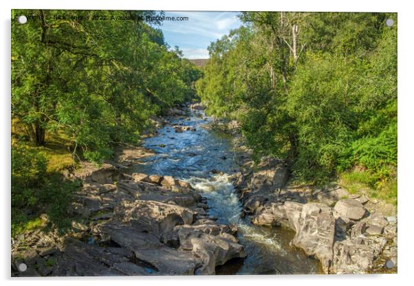 The Afon Elan River flowing down the Elan Valley  Acrylic by Nick Jenkins