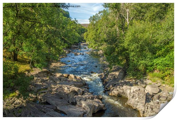 The Afon Elan River flowing down the Elan Valley  Print by Nick Jenkins