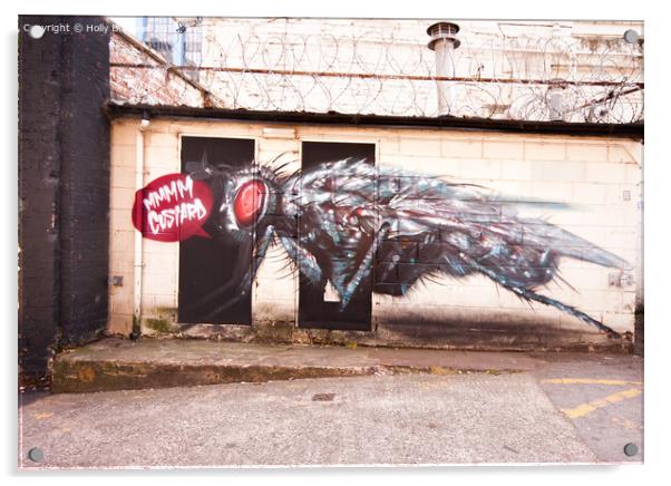 Captivating Graffiti Odyssey: Birmingham's Custard Acrylic by Holly Burgess