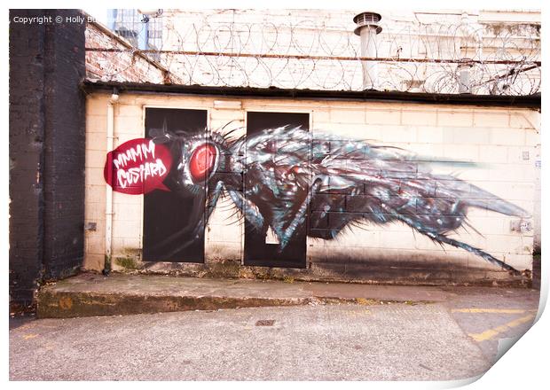 Captivating Graffiti Odyssey: Birmingham's Custard Print by Holly Burgess