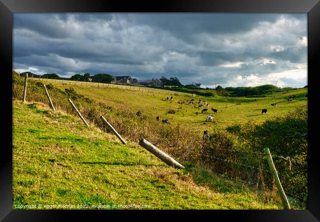 Serene Countryside Cowscape Framed Print by Roger Mechan