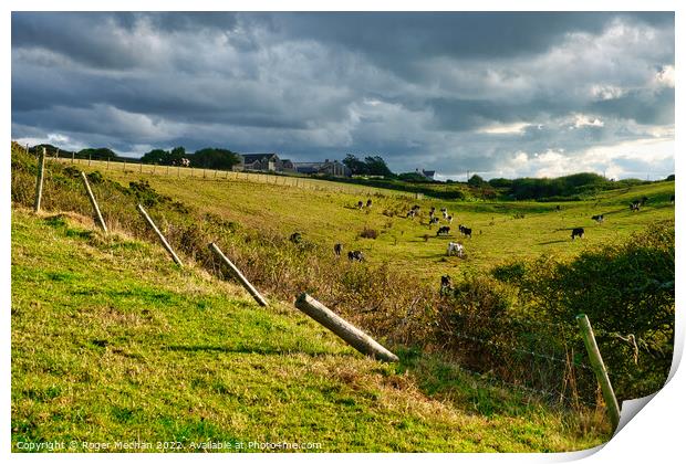 Serene Countryside Cowscape Print by Roger Mechan