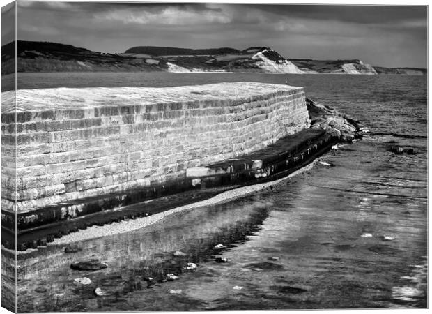 The Cobb, Lyme Regis  Canvas Print by Darren Galpin