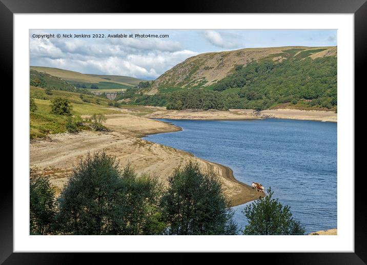 Pen y Garreg Reservoir and a Group of Cows  Framed Mounted Print by Nick Jenkins