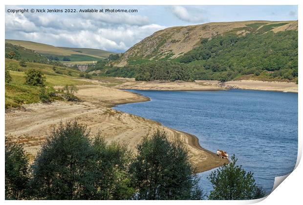 Pen y Garreg Reservoir and a Group of Cows  Print by Nick Jenkins