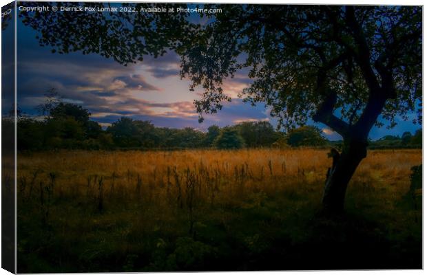 Sunset In Birtle Lancashire Canvas Print by Derrick Fox Lomax