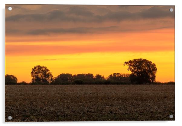 Malmesbury Sunrise Cotswolds Acrylic by Jonathan Thirkell