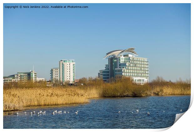 Cardiff Bay Wetlands in February  Print by Nick Jenkins