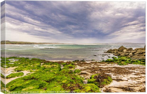 Looking across St Ives bay from the beach at Godre Canvas Print by Michael Shannon