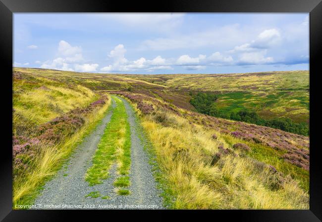 Path leading to Rosedale Head, North Yorkshire Moo Framed Print by Michael Shannon
