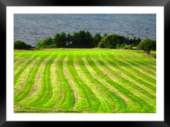 Mown Hay Framed Mounted Print by Stephanie Moore