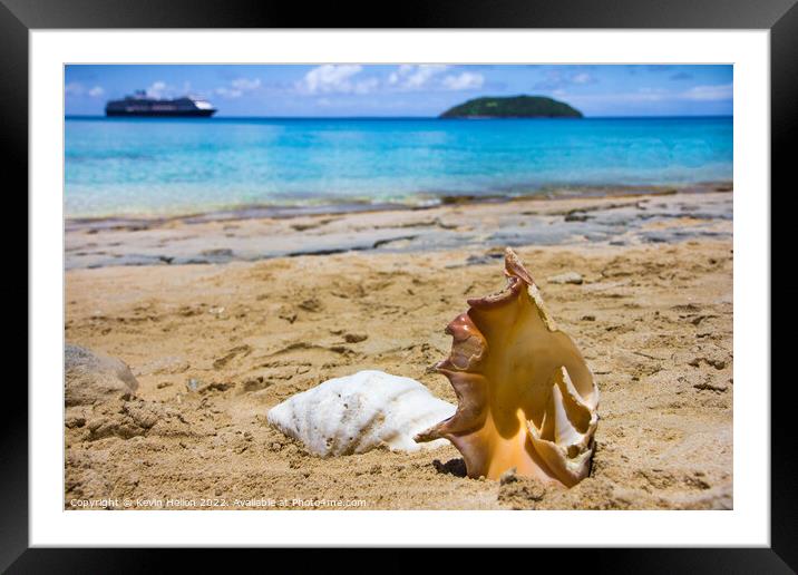 Sea Shells on Dravuni Island, Fiji, South Pacific Framed Mounted Print by Kevin Hellon