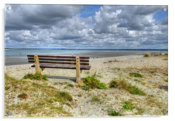 West Wittering seat on the beach   Acrylic by Diana Mower