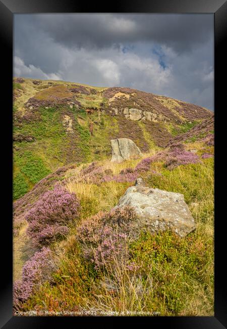 North Yorkshire Moors Landscape - Rosedale Head  Framed Print by Michael Shannon