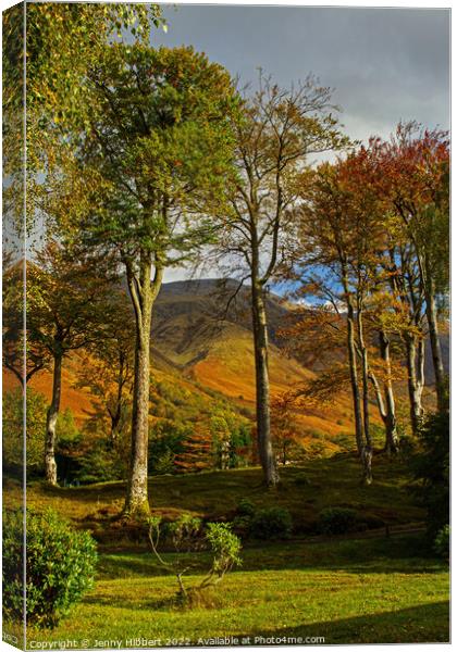 View of Ben Nevis through the trees in Glen Nevis Canvas Print by Jenny Hibbert