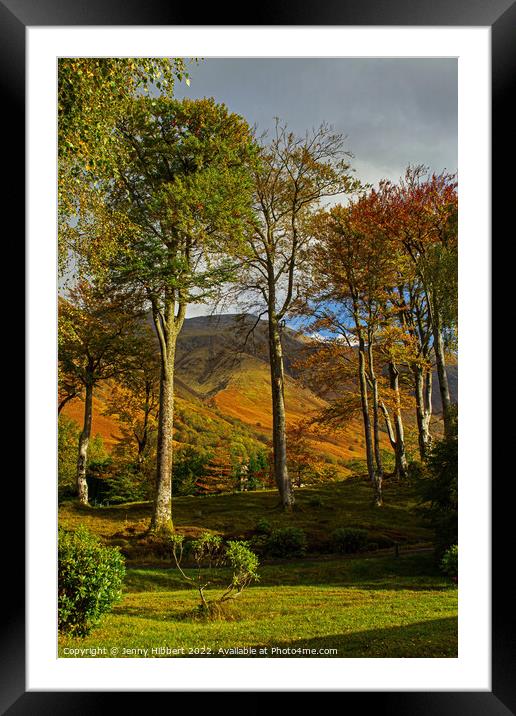 View of Ben Nevis through the trees in Glen Nevis Framed Mounted Print by Jenny Hibbert